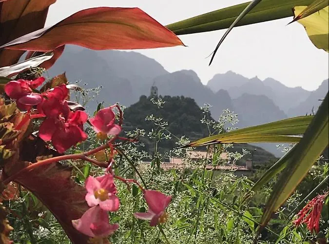 Casa Oliveira Esmeraldo - Hébergement de vacances São Vicente