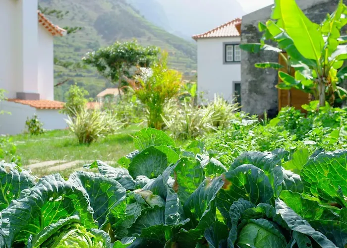 Casa Oliveira Esmeraldo - Holiday home