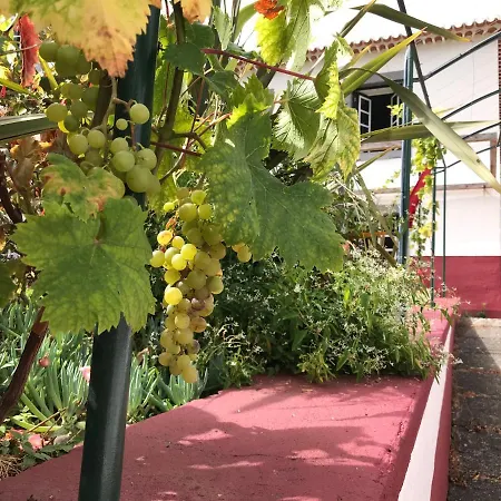 別荘 Casa Oliveira Esmeraldo -