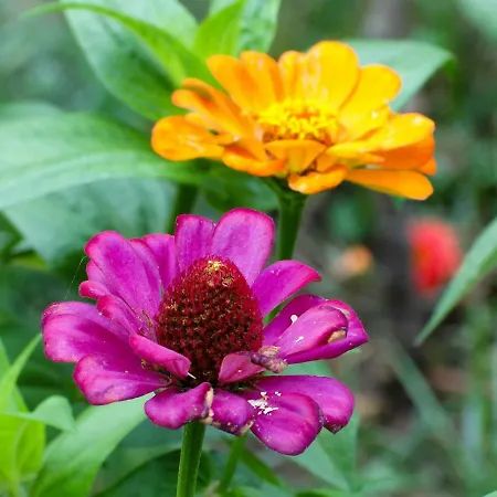 Nyaraló Casa Oliveira Esmeraldo -