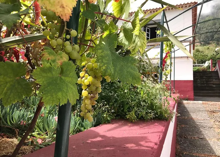 Ferienhaus Casa Oliveira Esmeraldo -